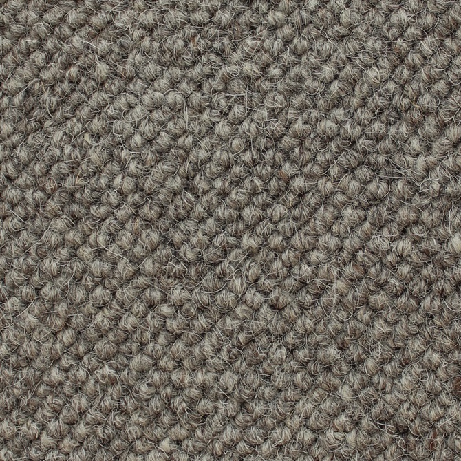 Textured Carpet