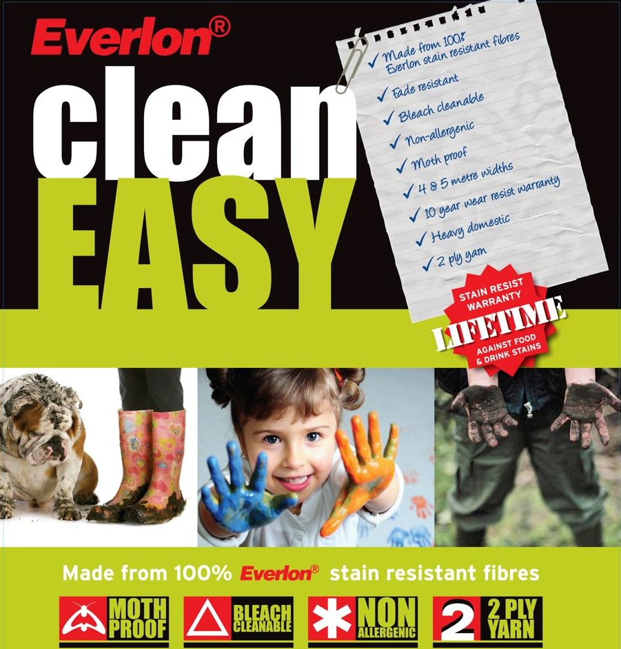 Clean Easy Carpet