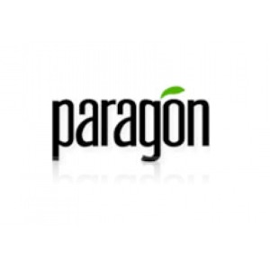 Paragon Carpet Tiles