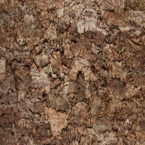 Granorte Rustic Cork Bark 600 x 300 x 25