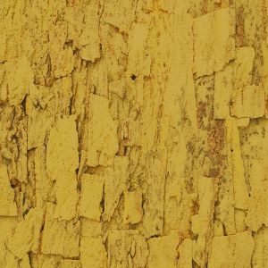 Granorte Rustic Cork Sandstone saffron 600 x 300 x 25