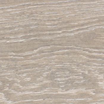 Granorte Design Trend Oak Seashell