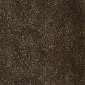 Alternative Flooring Luxx Velvet Walrus Carpet